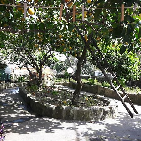 Holiday Apartments Lacco Ameno  المظهر الخارجي الصورة
