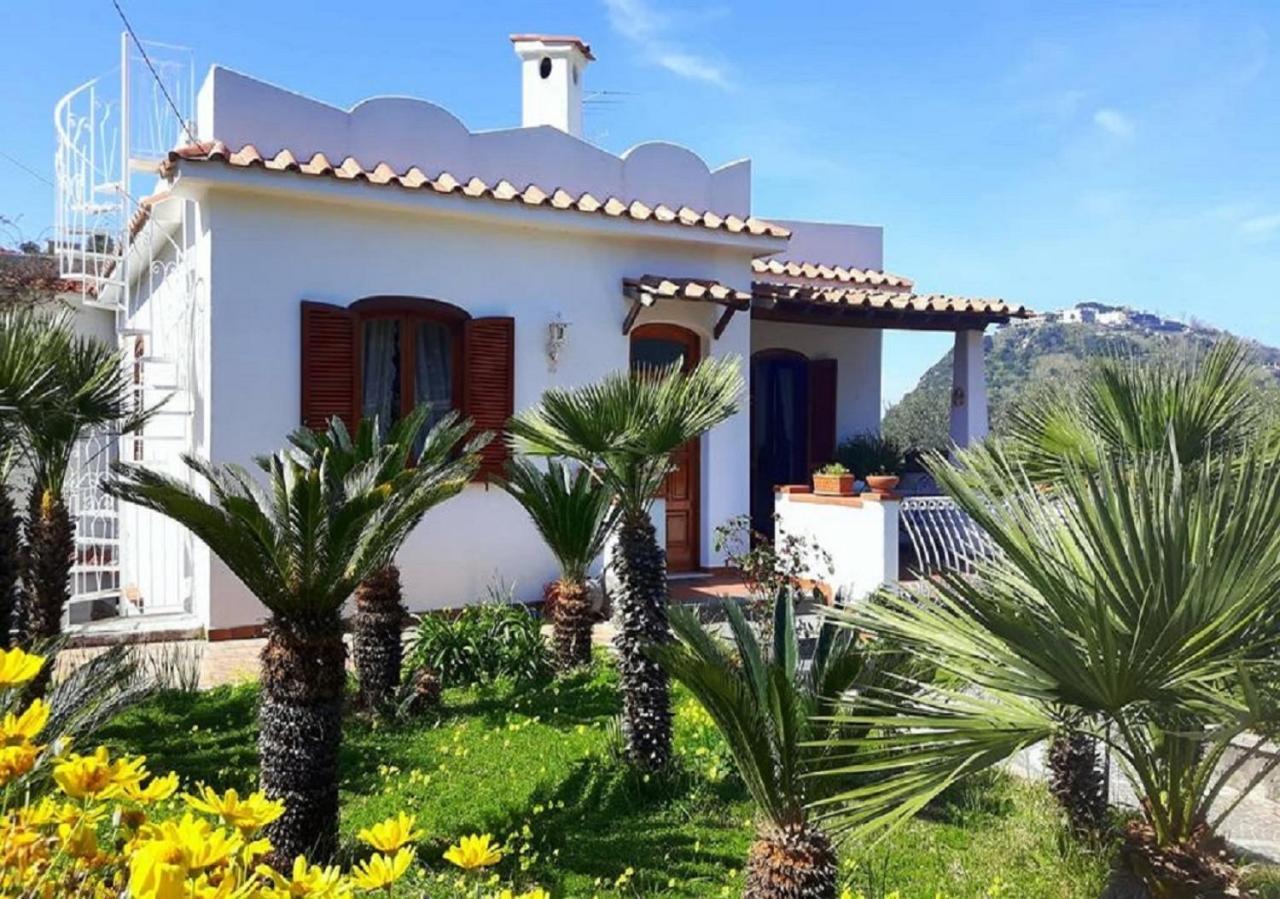 Holiday Apartments Lacco Ameno  الغرفة الصورة