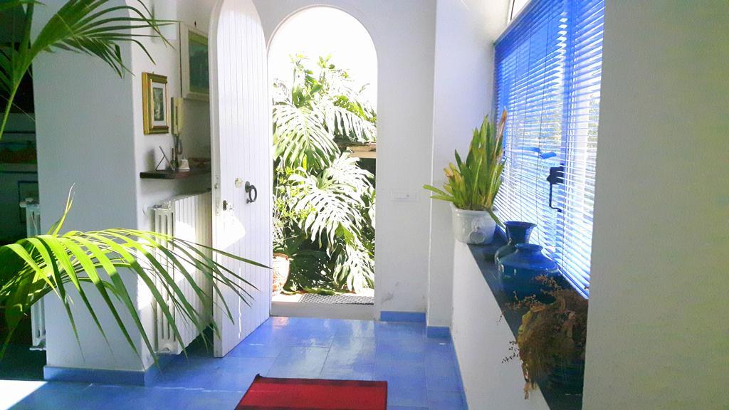 Holiday Apartments Lacco Ameno  المظهر الخارجي الصورة