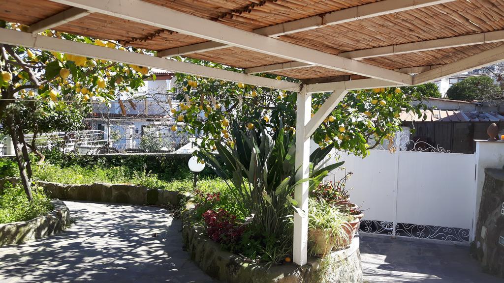 Holiday Apartments Lacco Ameno  المظهر الخارجي الصورة